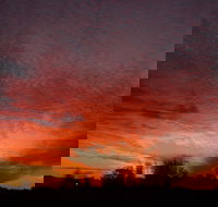 City Centre Motel - Accommodation Mount Tamborine