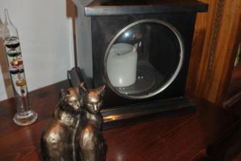 The Pommy Tree - Accommodation Mount Tamborine 2