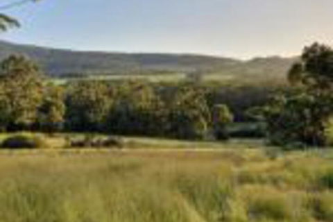 Cinnamon Coloureds Farm Cottages - Accommodation Mount Tamborine 0