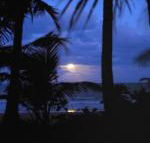 Sejala Beach Huts - Accommodation Mount Tamborine