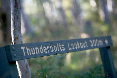 16 Gregson Silky Oaks - Accommodation Mount Tamborine 6