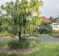 Hamlet Downs Country Accommodation - Accommodation Mount Tamborine