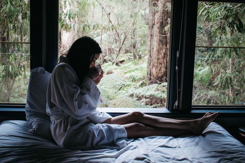 Woodlands Rainforest Retreat - Accommodation Mount Tamborine 5