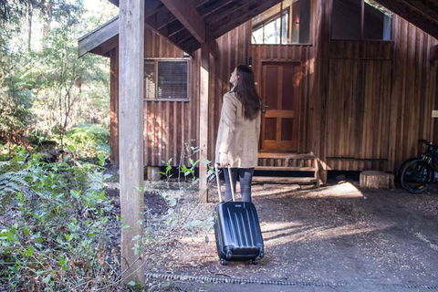 Woodlands Rainforest Retreat - Accommodation Mount Tamborine 1