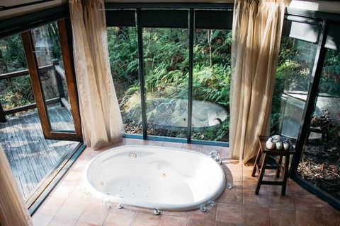 Woodlands Rainforest Retreat - Accommodation Mount Tamborine 7