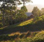 Bundle Hill Cottages - Accommodation Mount Tamborine