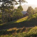 Bundle Hill Cottages - Accommodation Mount Tamborine 0