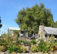 Sassafras Springs - Accommodation Mount Tamborine