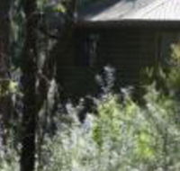 Twin Falls Bush Cottages - Accommodation Mount Tamborine