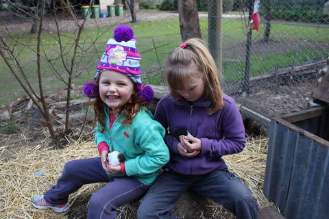 Fernleigh Farmstay & Bike Park - Accommodation Mount Tamborine 3