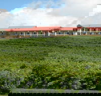 Turners Vineyard Motel and Function Centre - Accommodation Mount Tamborine