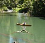 Figtree Getaway - Accommodation Mount Tamborine