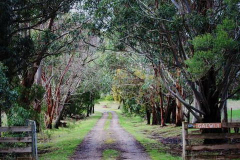 Galwiji Homestead - Accommodation Mount Tamborine 7