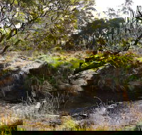 Green Gully House - Accommodation Mount Tamborine