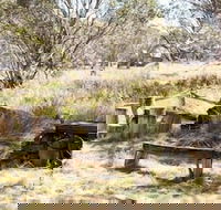 Wrens View - Accommodation Mount Tamborine