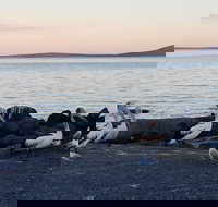 Hilton Motel - Accommodation Mount Tamborine