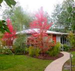 Dalrymples Guest Cottages - Accommodation Mount Tamborine