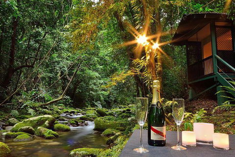 Misty Mountains Rainforest Retreat - Accommodation Mount Tamborine 3