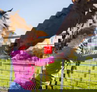 Freshwater Creek Cottages and Farm Stay - Accommodation Mount Tamborine