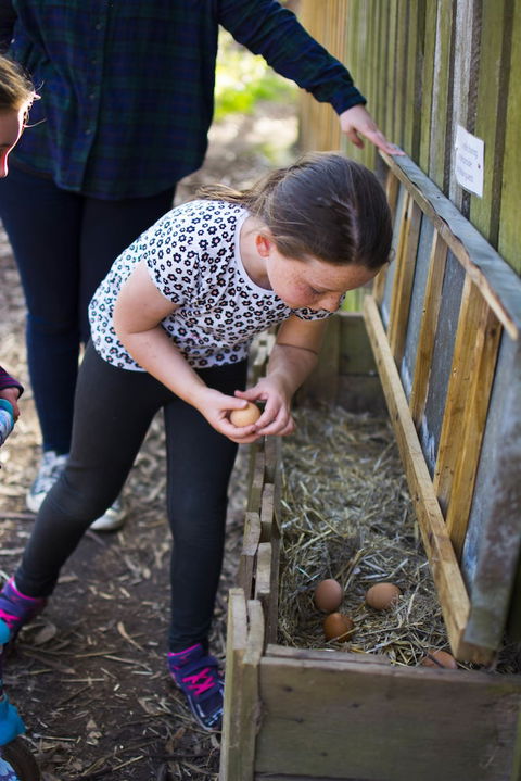Freshwater Creek Cottages And Farm Stay - Accommodation Mount Tamborine 4