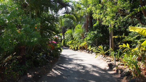 Palm Bay Resort - Accommodation Mount Tamborine 3