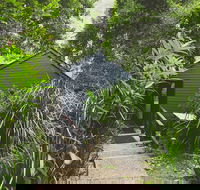 Montagues of Montville - Accommodation Mount Tamborine