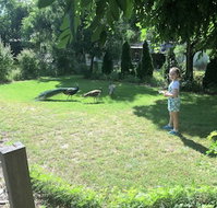 Windswept Country Retreat - Accommodation Mount Tamborine