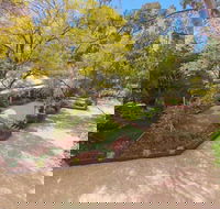 Elizas on the Murray