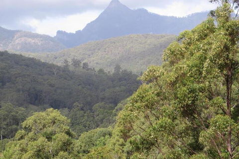 Babbling Brook Retreat - Accommodation Mount Tamborine 7