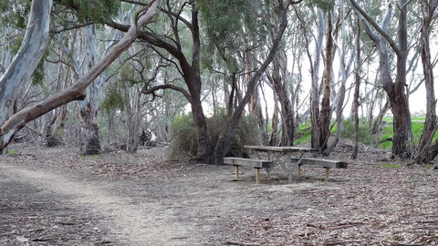 Loddon River Motel - Accommodation Mount Tamborine 2