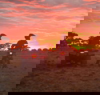 Corynnia Station - Accommodation Mount Tamborine