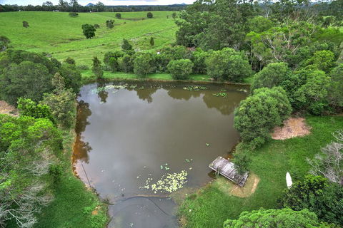 Avalon Noosa Farm Cottages - Accommodation Mount Tamborine 6