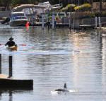 Sunsea Waterfront South Yunderup - Accommodation Mount Tamborine