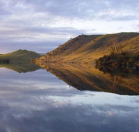 Curringa Farm - Accommodation Mount Tamborine