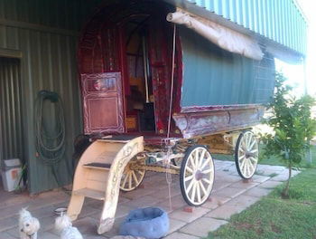 Cabarita Lodge - Accommodation Mount Tamborine 0