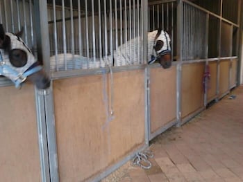 Cabarita Lodge - Accommodation Mount Tamborine 1