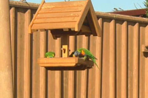 Travellers Rest Motel - Accommodation Mount Tamborine 1