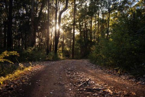 Mudstone Spa Retreat - Accommodation Mount Tamborine 5