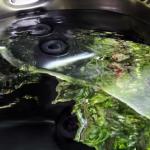 Mudstone Spa Retreat - Accommodation Mount Tamborine 1