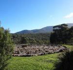 Hawksview at Mafeking - Accommodation Mount Tamborine