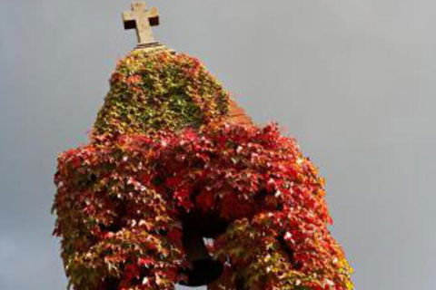 Armidale Ace Apartments - Accommodation Mount Tamborine 7