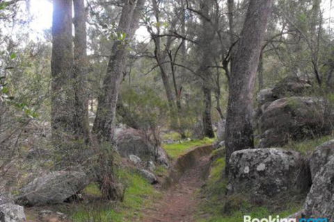 Armidale Ace Apartments - Accommodation Mount Tamborine 3