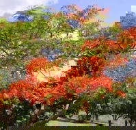 Eastwood Farm - Accommodation Mount Tamborine