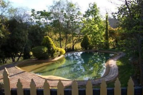 Willowlake Cottages - Accommodation Mount Tamborine 1