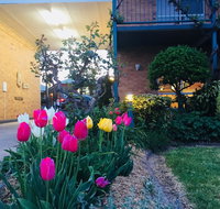 The Vines Motel and Cottages - Accommodation Mount Tamborine