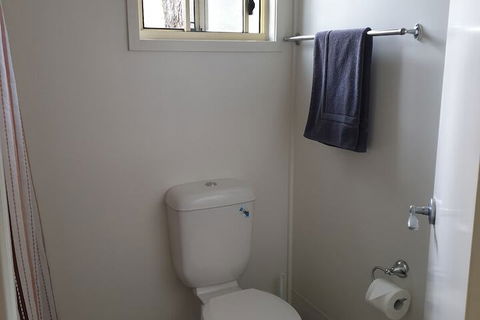 Mt Warning Rainforest Park - Accommodation Mount Tamborine 7