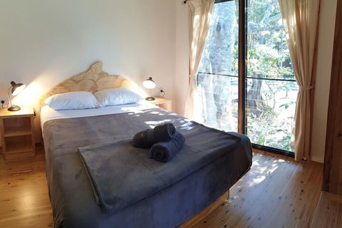 Mt Warning Rainforest Park - Accommodation Mount Tamborine 6