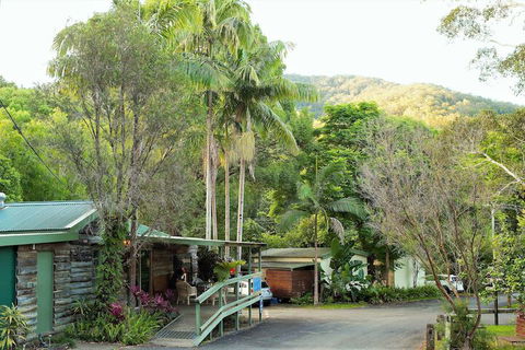 Mt Warning Rainforest Park - Accommodation Mount Tamborine 2