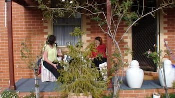 Albury Cottages - Accommodation Mount Tamborine 6