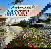 Amber Lodge Motel - Accommodation Mount Tamborine